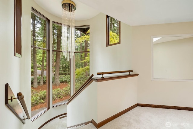 5004 134th Pl NE, Bellevue, WA 98005 - photo 19