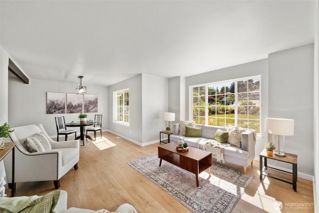2141 Jason Ct, Ferndale, WA 98248 - living room with light wood-style floors