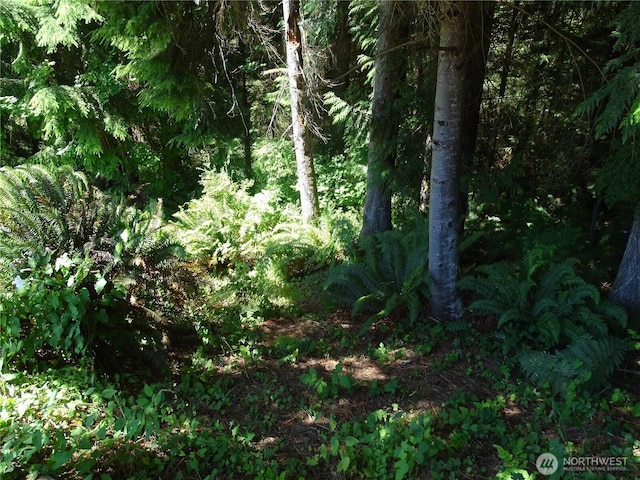 23029 36th St NE, Granite Falls, WA 98252 - photo 31