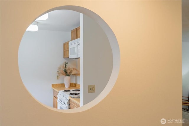 22703 Lakeview Dr Unit E5, Mountlake Terrace, WA 98043 - detailed view of white appliances and arched walkways