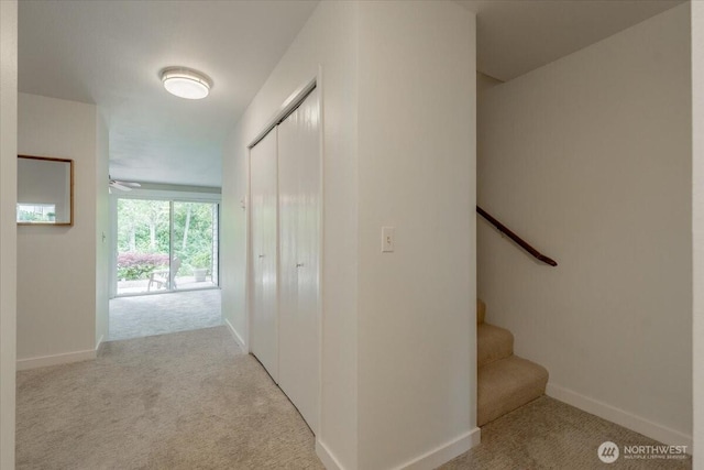 22703 Lakeview Dr Unit E5, Mountlake Terrace, WA 98043 - corridor with carpet flooring and baseboards