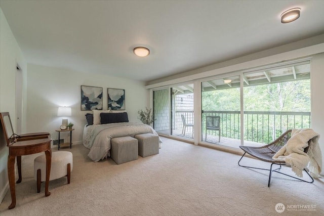 22703 Lakeview Dr Unit E5, Mountlake Terrace, WA 98043 - carpeted bedroom with access to exterior and baseboards