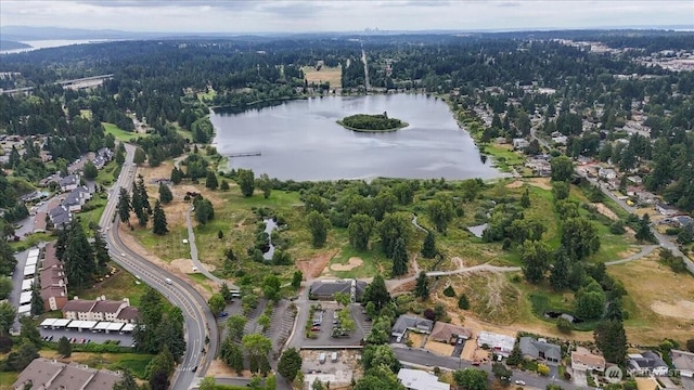 22703 Lakeview Dr Unit E5, Mountlake Terrace, WA 98043 - aerial overview of property's location featuring a large body of water and a heavily wooded area