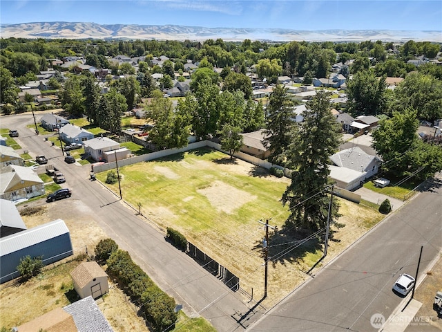 715 SE Birch Ave, College Place, WA 99324 - photo 6
