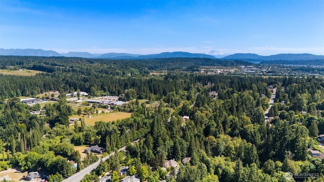10909 Avondale Rd NE Unit L145, Redmond, WA 98052 - drone / aerial view of a mountain backdrop