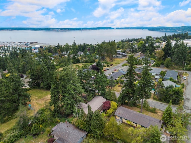 1201 Wilson St, Port Townsend, WA 98368 - aerial view of property and surrounding area with a large body of water