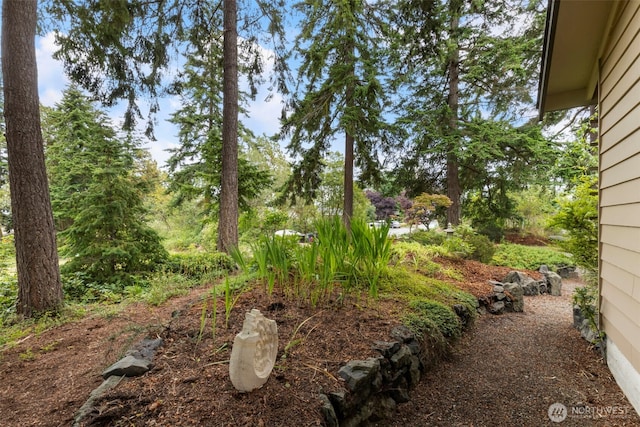 1201 Wilson St, Port Townsend, WA 98368 - view of yard