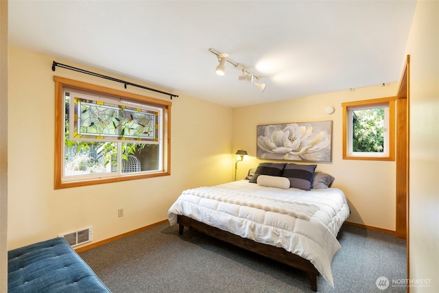1201 Wilson St, Port Townsend, WA 98368 - bedroom featuring carpet flooring and track lighting