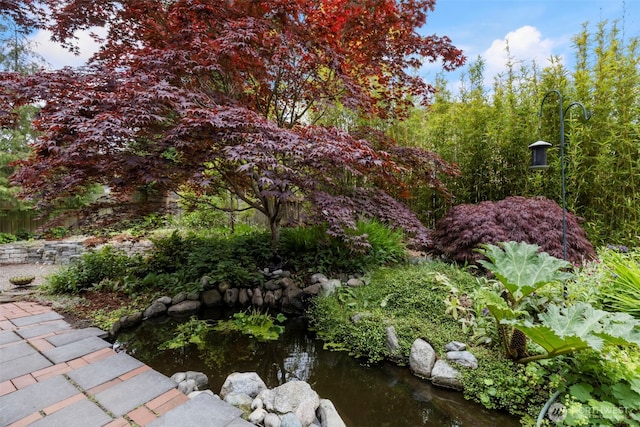 1201 Wilson St, Port Townsend, WA 98368 - view of yard with a garden pond