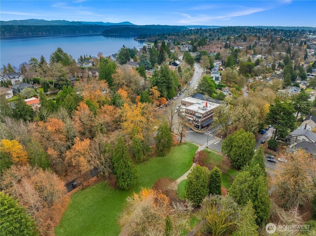 28091/2 Mount Rainier Dr S Unit 3, Seattle, WA 98144 - aerial view of property and surrounding area featuring a water and mountain view