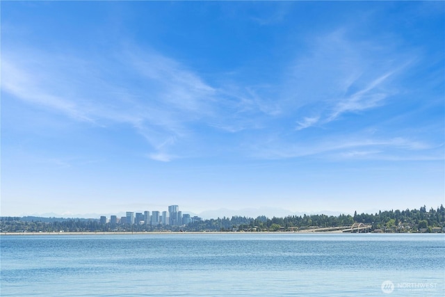 28091/2 Mount Rainier Dr S Unit 3, Seattle, WA 98144 - water view