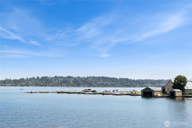 28091/2 Mount Rainier Dr S Unit 3, Seattle, WA 98144 - water view