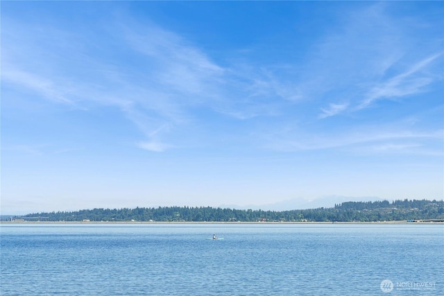 28091/2 Mount Rainier Dr S Unit 3, Seattle, WA 98144 - water view
