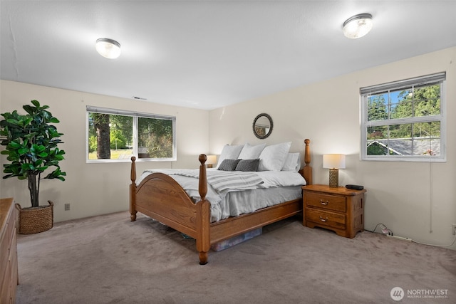 12012 County Line Rd E, Edgewood, WA 98372 - bedroom with multiple windows and light carpet