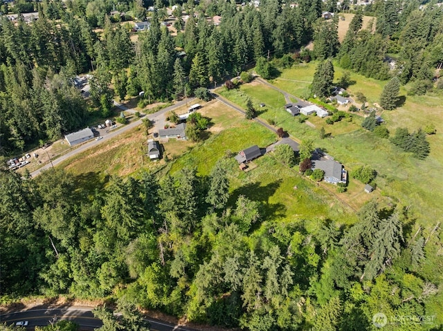 12012 County Line Rd E, Edgewood, WA 98372 - aerial view of property and surrounding area