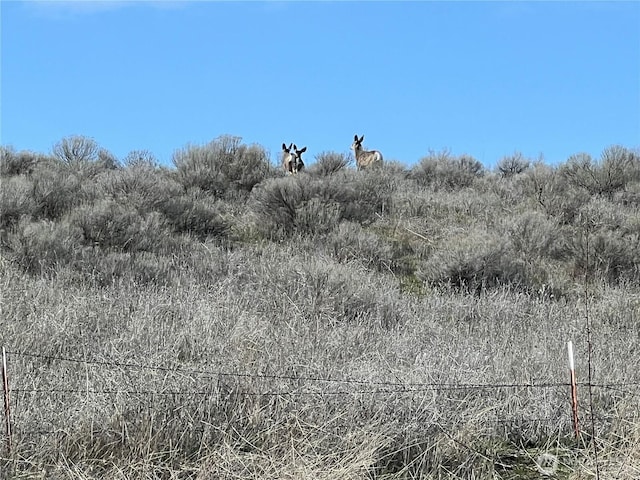 1411 Kellogg Hallow Rd, Dayton, WA 99328 - view of nature