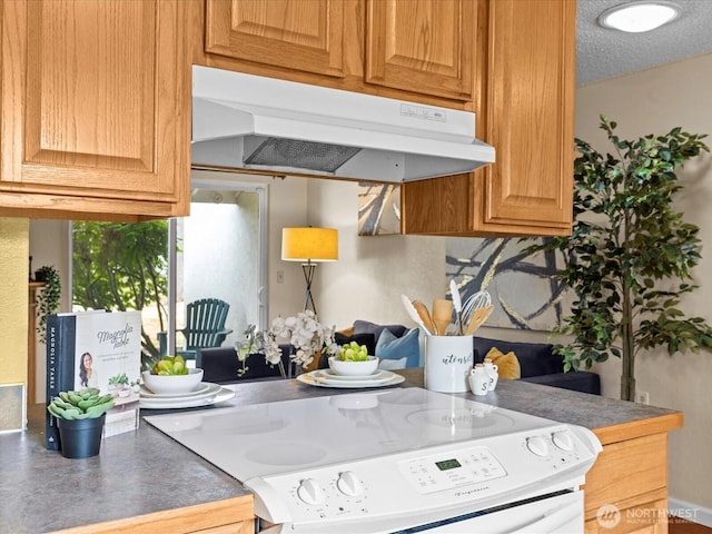 4811 76th St NE Unit 5, Marysville, WA 98270 - kitchen with electric range, under cabinet range hood, and a textured ceiling
