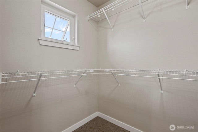 329 Holland Ave, Bellingham, WA 98226 - walk in closet with dark carpet