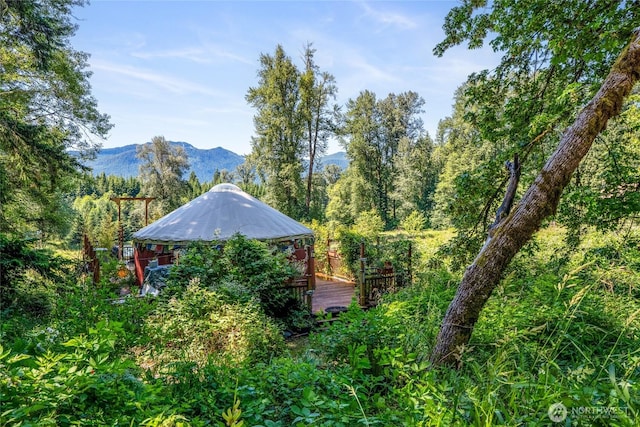 33114 Mount Tahoma Canyon Rd E, Ashford, WA 98304 - photo 1
