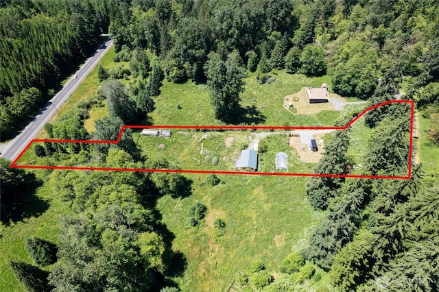 33114 Mount Tahoma Canyon Rd E, Ashford, WA 98304 - photo 3
