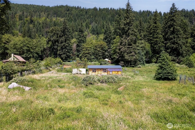 33114 Mount Tahoma Canyon Rd E, Ashford, WA 98304 - photo 4