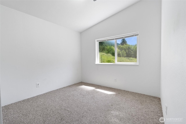 33114 Mount Tahoma Canyon Rd E, Ashford, WA 98304 - photo 16