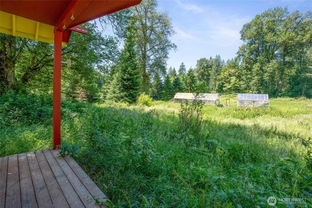33114 Mount Tahoma Canyon Rd E, Ashford, WA 98304 - photo 23