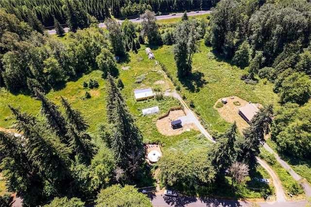 33114 Mount Tahoma Canyon Rd E, Ashford, WA 98304 - photo 31