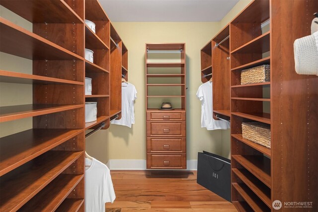 2542 12th Ave W, Seattle, WA 98119 - walk in closet with dark wood-style flooring