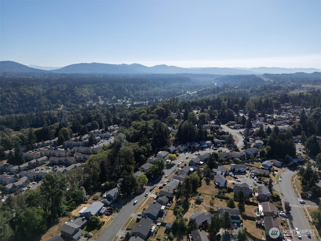 1638 Index Ave SE, Renton, WA 98058 - aerial overview of property's location featuring a mountain backdrop and a heavily wooded area