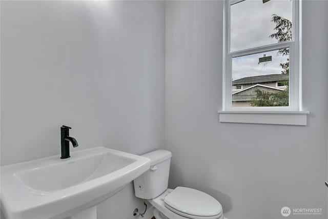 608B Deeded Ln SW, Orting, WA 98360 - bathroom with a sink and toilet