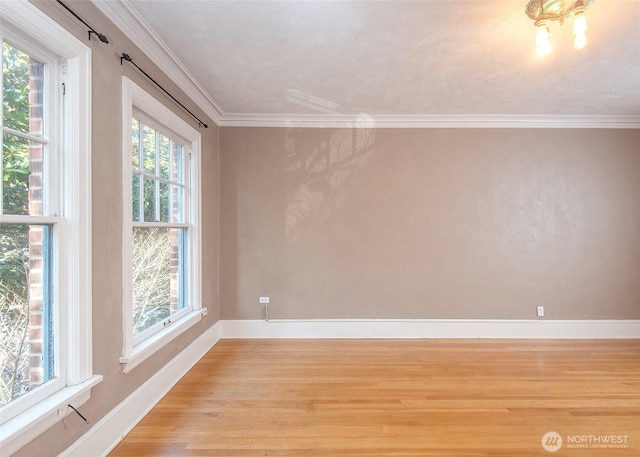 720 6th Ave Unit 206, Tacoma, WA 98405 - spare room with light wood-type flooring and ornamental molding