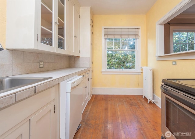 720 6th Ave Unit 206, Tacoma, WA 98405 - kitchen featuring stainless steel range with electric cooktop, dishwasher, plenty of natural light, and radiator