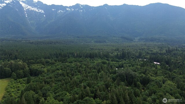 400 State Route 530, Arlington, WA 98223 - photo 5