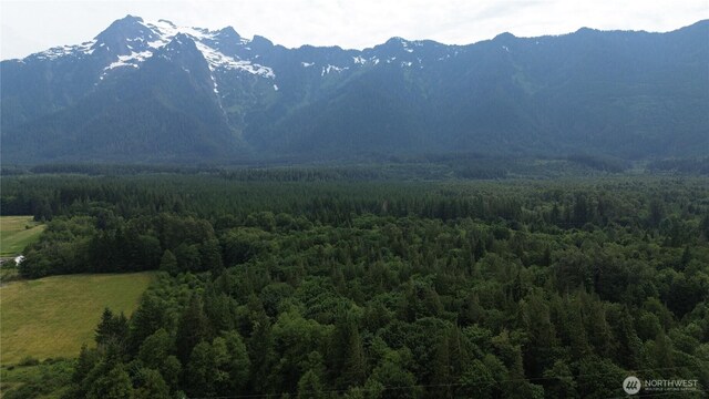 400 State Route 530, Arlington, WA 98223 - photo 6