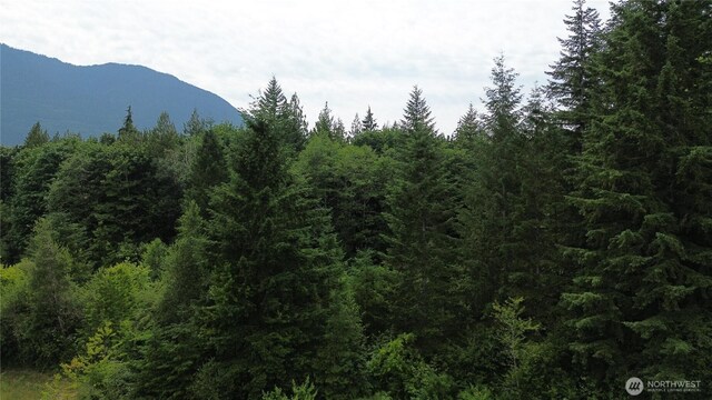 400 State Route 530, Arlington, WA 98223 - photo 8