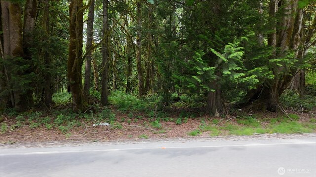 400 State Route 530, Arlington, WA 98223 - photo 10