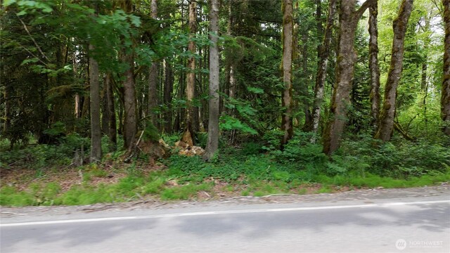 400 State Route 530, Arlington, WA 98223 - photo 11
