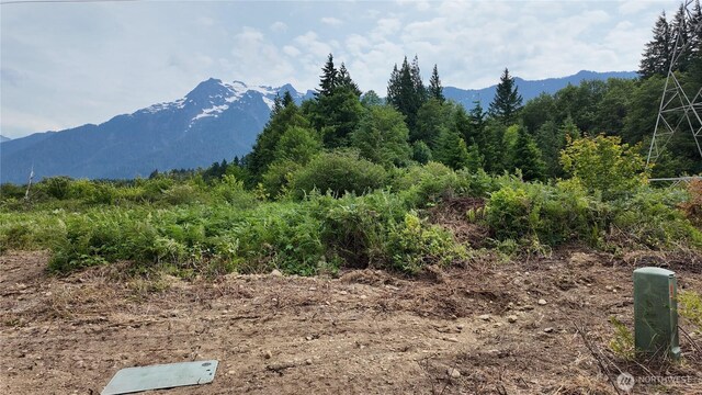 400 State Route 530, Arlington, WA 98223 - photo 17
