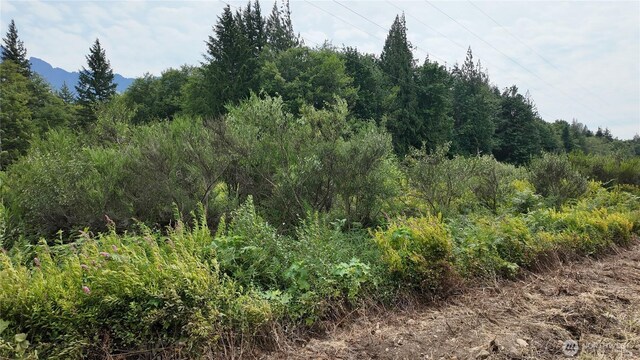 400 State Route 530, Arlington, WA 98223 - photo 18