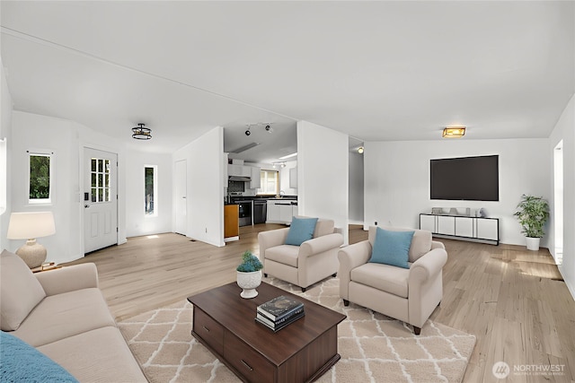 241B Foster Creek Rd, Toledo, WA 98591 - living room featuring light wood-style flooring