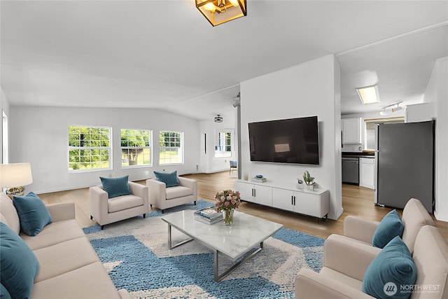 241B Foster Creek Rd, Toledo, WA 98591 - living area featuring vaulted ceiling and light wood-style floors