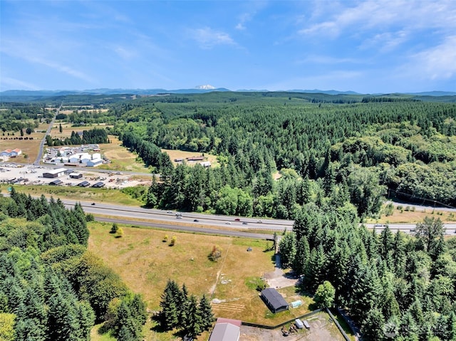 241B Foster Creek Rd, Toledo, WA 98591 - aerial view of a forest and mountains
