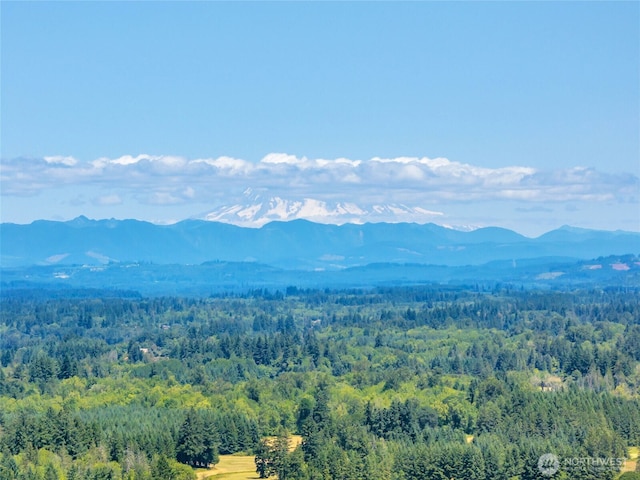 241B Foster Creek Rd, Toledo, WA 98591 - view of mountain backdrop featuring a heavily wooded area