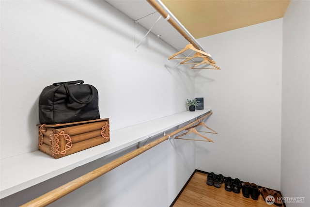 152 E Park Ln, Port Angeles, WA 98362 - spacious closet with light wood-type flooring