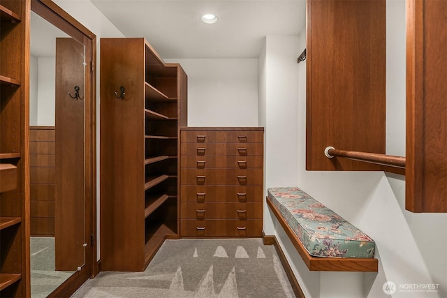 3103 Mount Rainier Dr S, Seattle, WA 98144 - spacious closet with carpet
