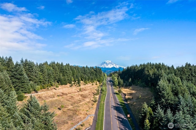 14639 201st Ave E, Bonney Lake, WA 98391 - photo 39