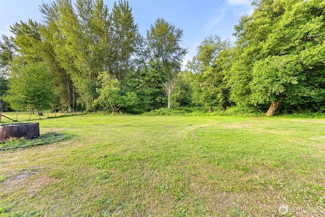 407 Leber St NE, Orting, WA 98360 - view of grassy yard