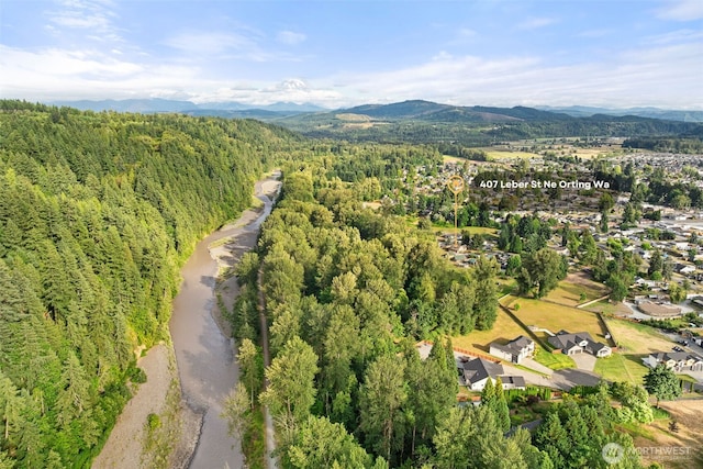 407 Leber St NE, Orting, WA 98360 - aerial view of property's location featuring a mountain backdrop