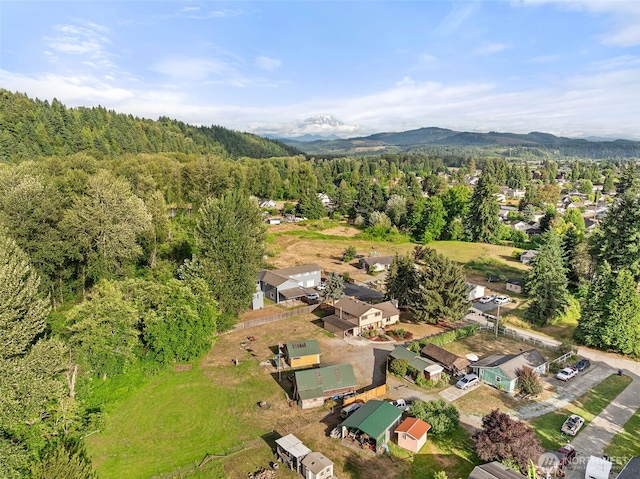 407 Leber St NE, Orting, WA 98360 - aerial overview of property's location featuring a forest and mountains